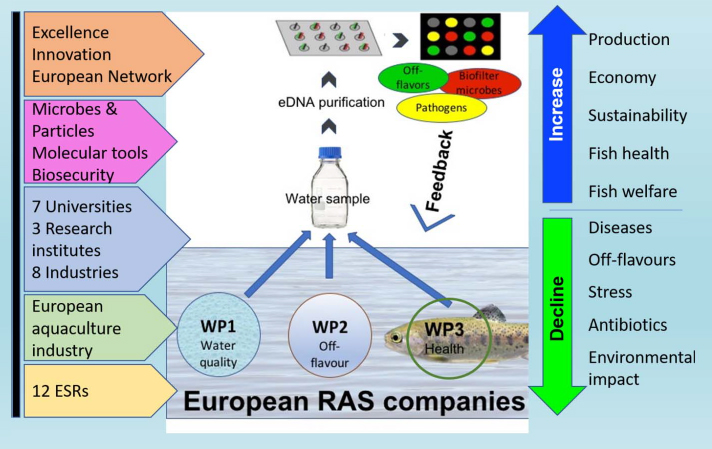 Graphic - European RAS companies